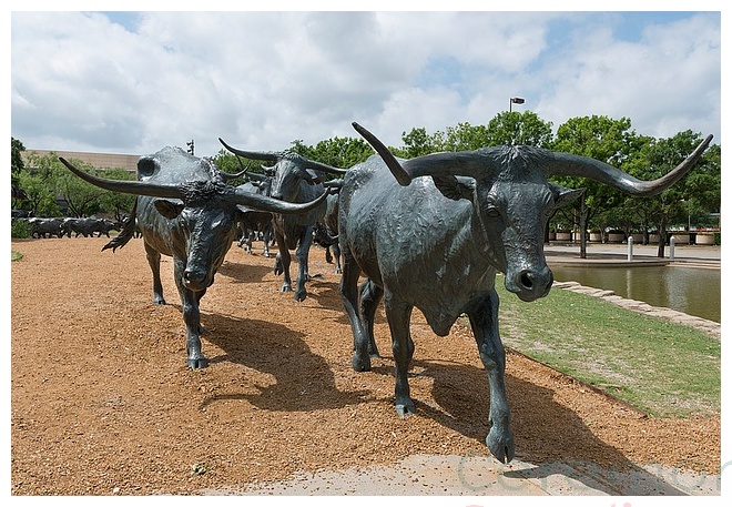 dallas bulls statues