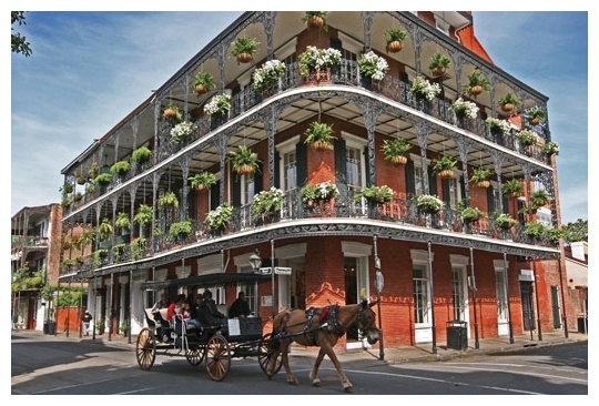 french quarter corner horse carriage