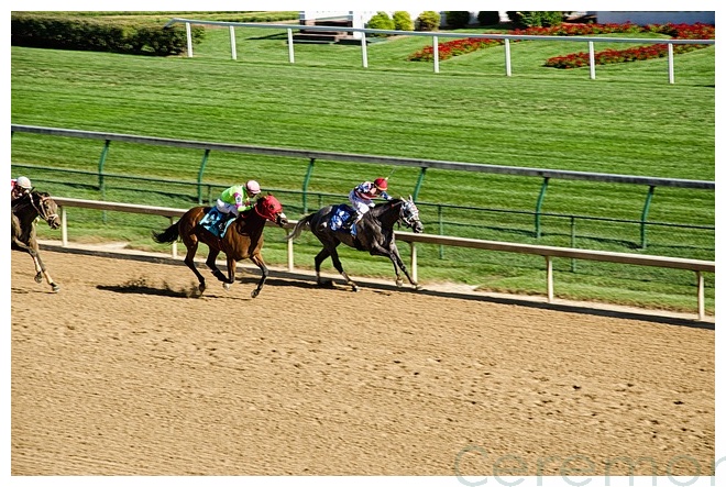 kentucky derby horses racing