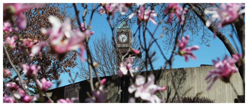 louisville university