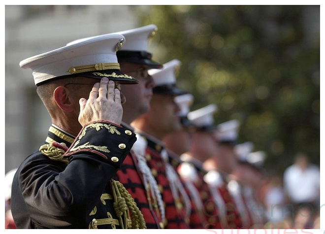military saluting