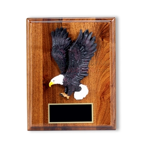 Plaque Scroll Ornament Engrave Engraving Award Metal Plate Military Medal Army