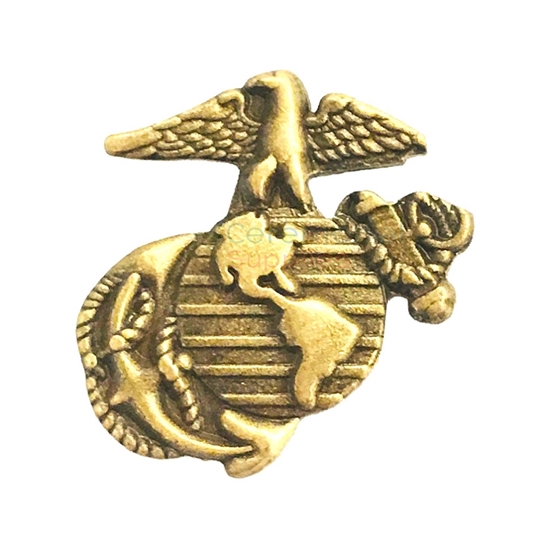 US marine lapel pin