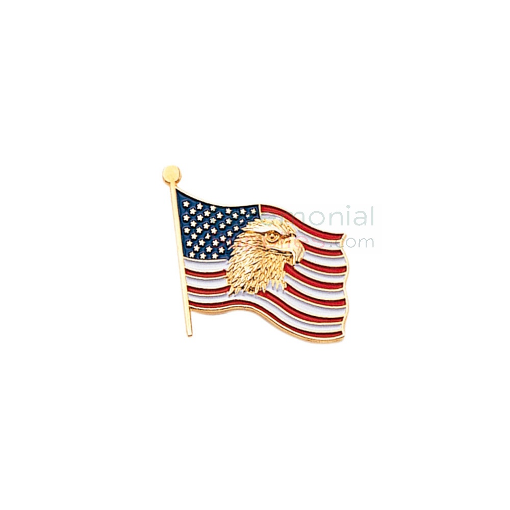 Flag with gold eagle in center lapel pin