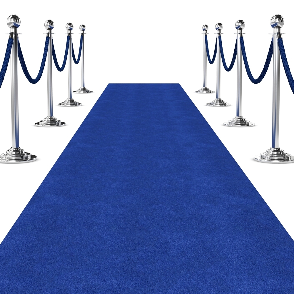 blue carpet runner with stanchions and rope