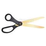 Picture of black handle golden blade scissors.