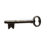 View of skeleton key lapel pin in silver color.