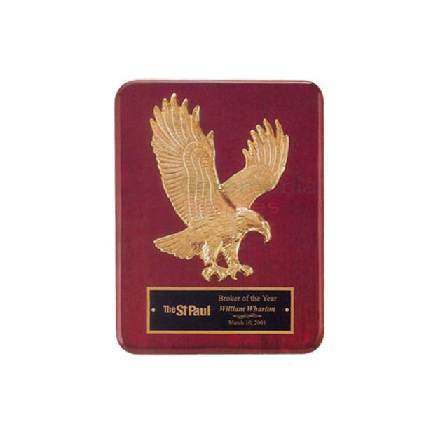 Photo of a Soaring Eagle Plaque.