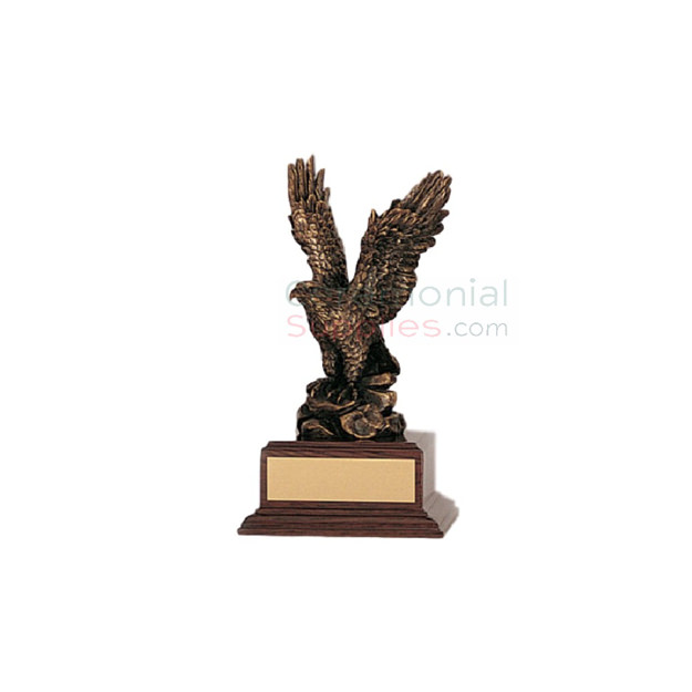 Front view of a Superior Management Eagle Award.