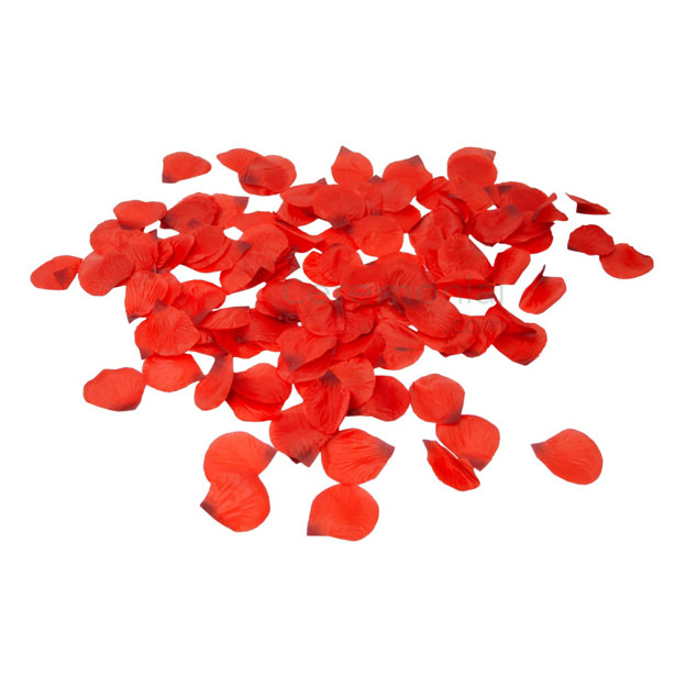 Photo of the Red Bridal Rose Petals.