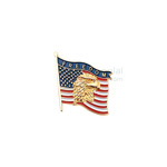 American flag with American Eagle with 'Freedom' text lapel pin