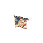 American flag with American Eagle with 'Proud to be an American' text lapel pin