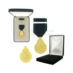 Image of Navy Expert Pistol medal with black velour and Govt. Official boxes