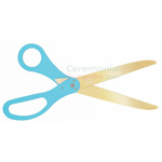 Image of golden blade scissors with teal handles.