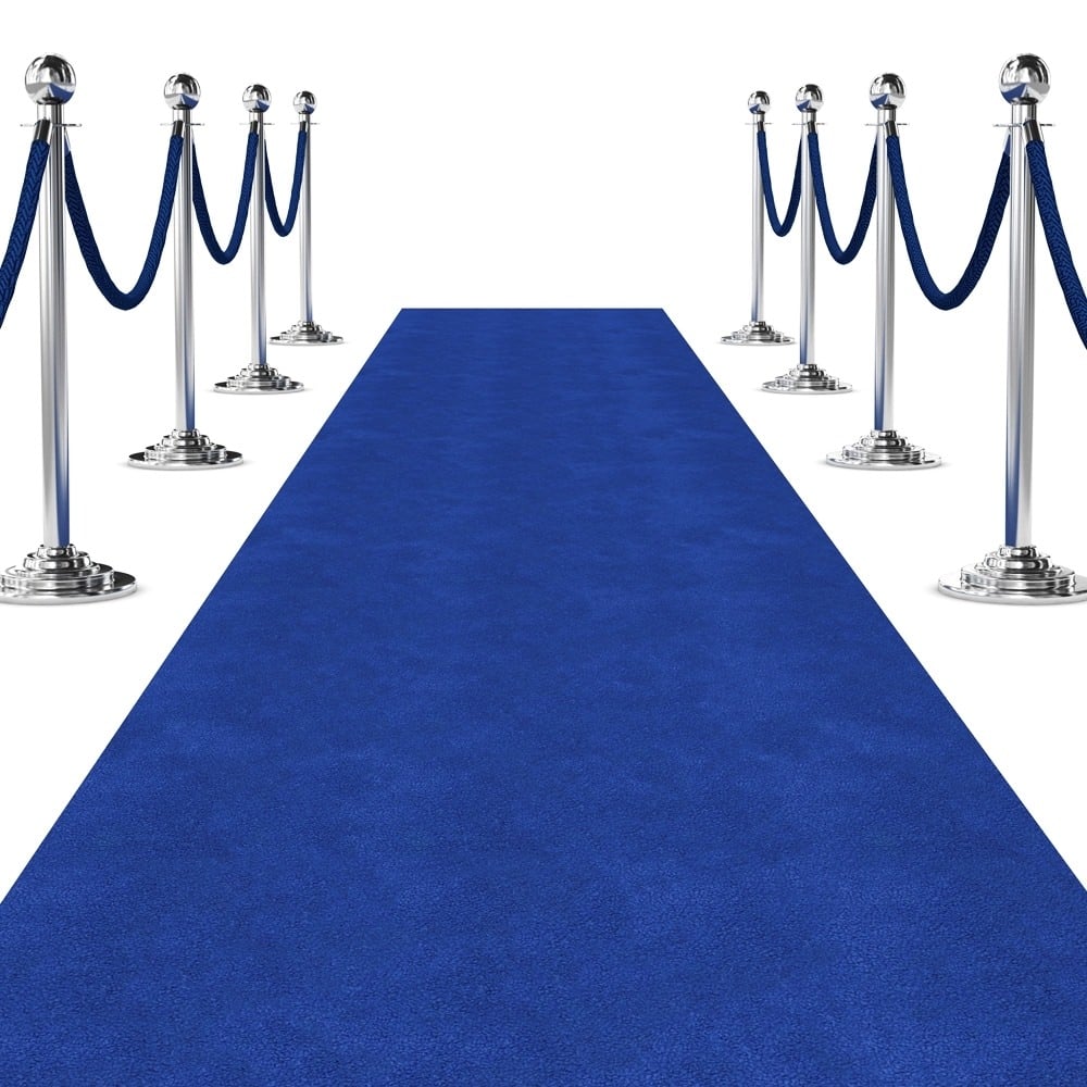 blue carpet with silver stanchions and blue velvet rope