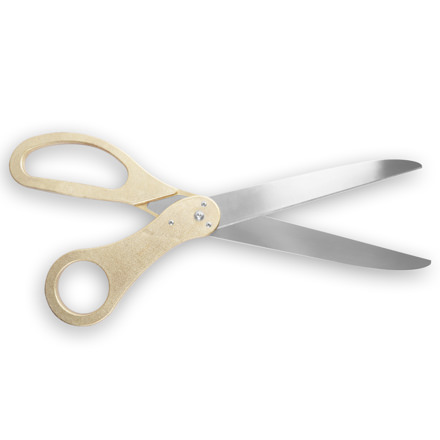 Gold Color Silver Blades Scissors