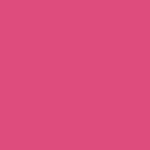 Pantone Color of the Pink Groundbreaking Shovel
