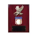 American Eagle Military Insert Award Plaque Blank Example