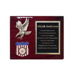 Horizontal Eagle and Insert Award Plaque with Navy Insert Example
