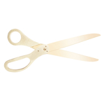 Picture of Golden handle golden blade scissors.	