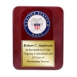 Picture of US Navy Medallion Award Plaque