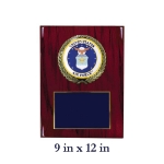 Picture of US Air Force Medallion Award Plaque