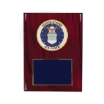 Picture of US Air Force Medallion Award Plaque