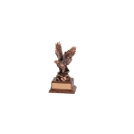 Front view of a Bronze Superior Management Eagle Award.