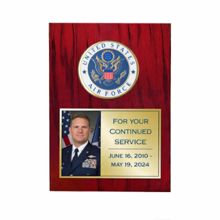 Picture of US Air Force Medallion Award Plaque